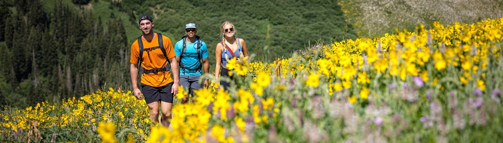 ski-utah-summer-resort-hiking.png