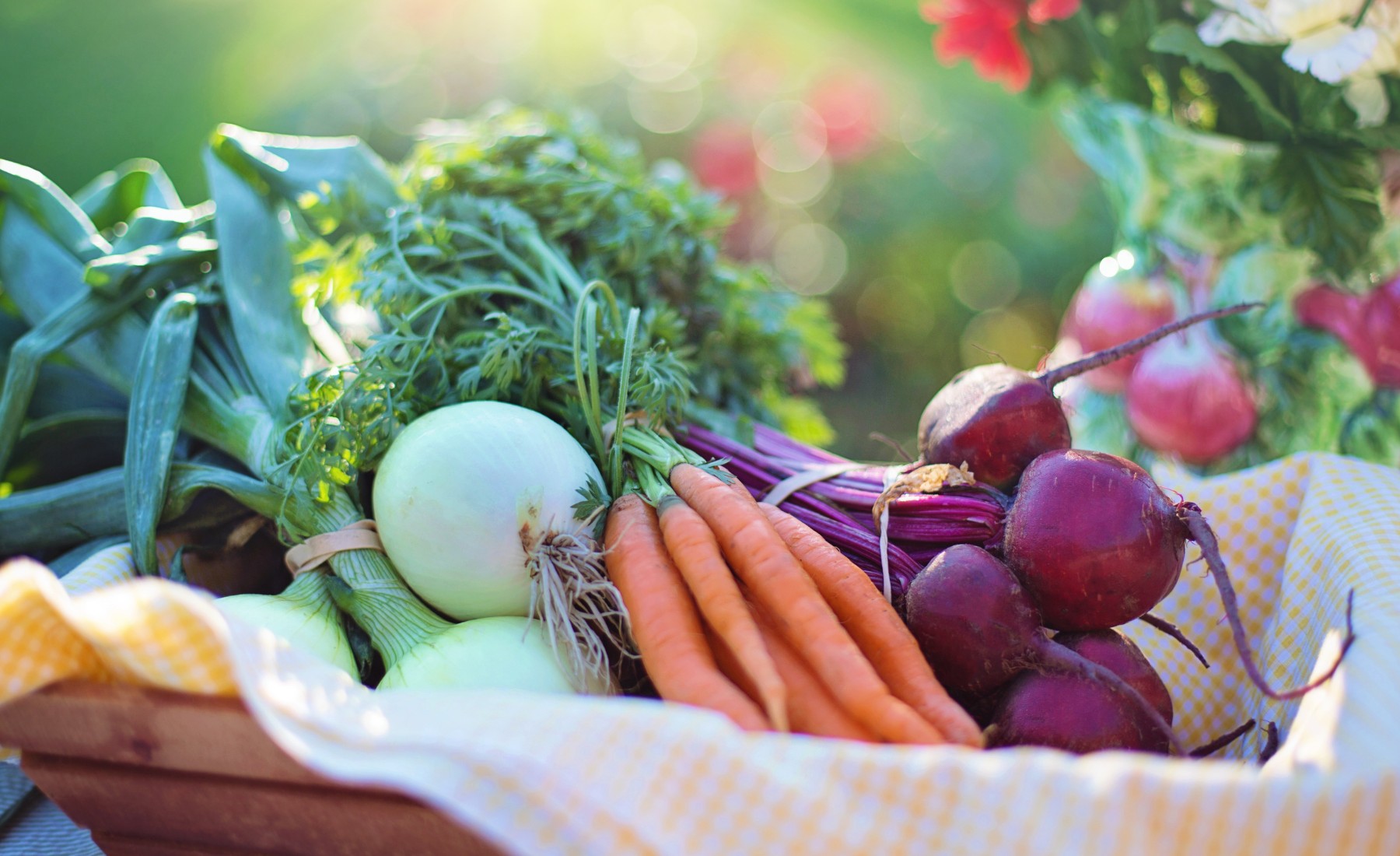 Park-City-Wed-Farmers-Market.png