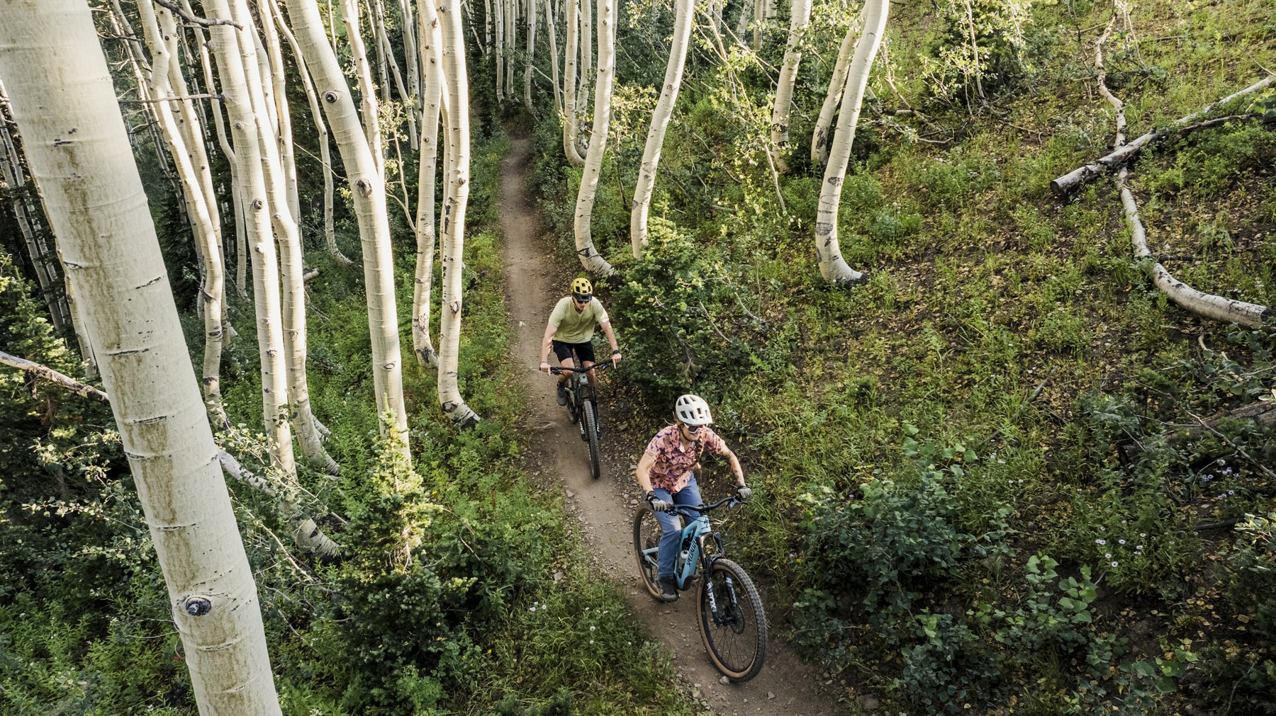 How to Plan a Mountain Bike Trip to Utah’s Wasatch Mountains